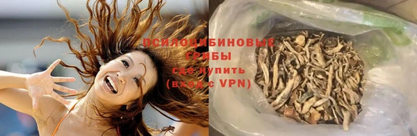гашик Бородино