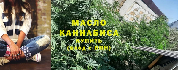 гашик Бородино