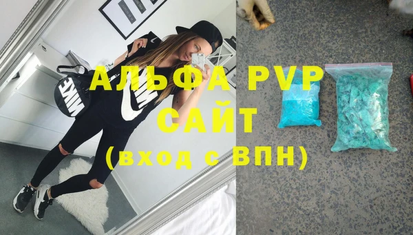 гашик Бородино