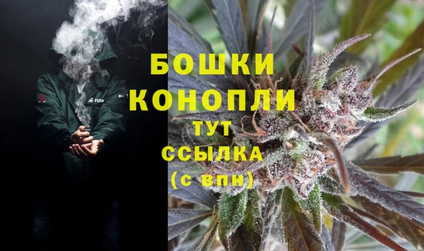 гашик Бородино
