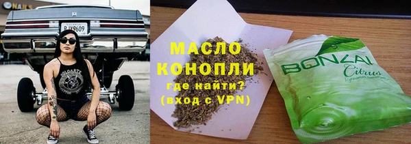 гашик Бородино