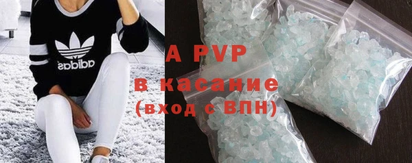 гашик Бородино